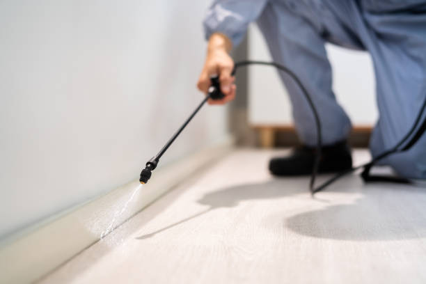Licensed Cockroach Control service in Goshen, CA - Nex Pest Control
