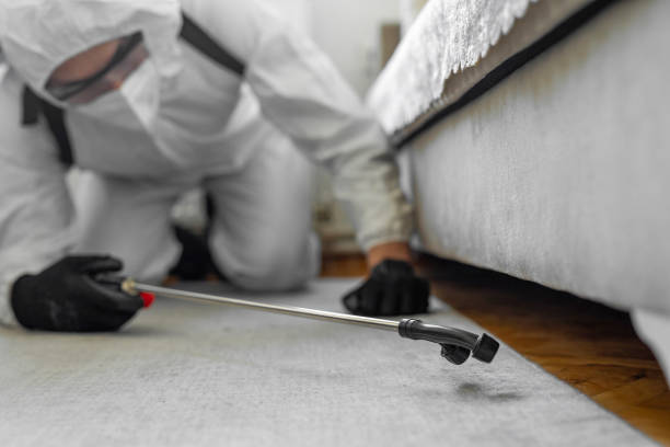 Professional Cockroach Control technician working in Goshen, CA