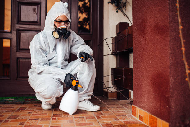 Reliable Cockroach Control contractor in Goshen, CA by Nex Pest Control